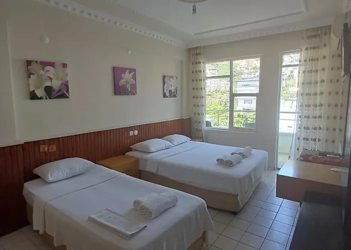 Ξενοδοχείο Lila Butik 3*